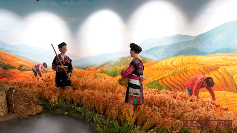 展館設計平面布局有哪些創新形式？